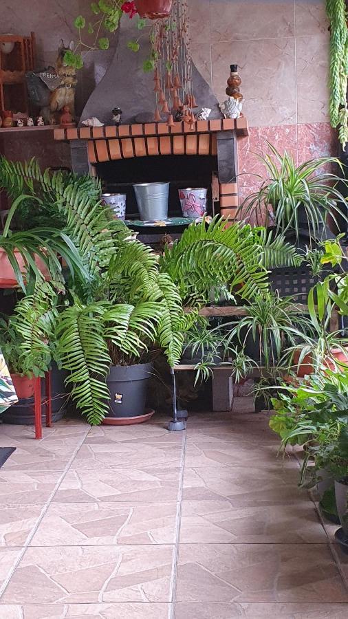 Casa Rural El Puente Taganana Εξωτερικό φωτογραφία